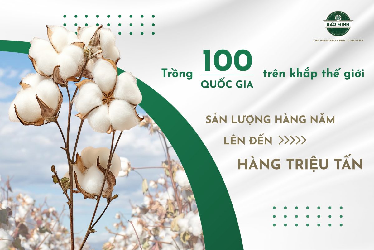 Organic Cotton: The Good Choice for Sustainable Fashion